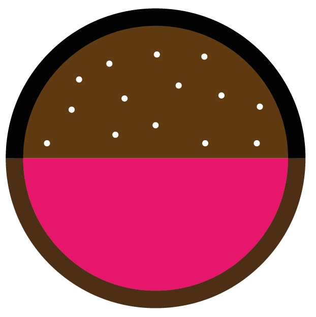 Bille caramel framboise artisanale - chocolatier - Éghezée ( aische en refail )